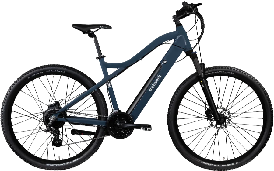 Commander Plus E-Bike
